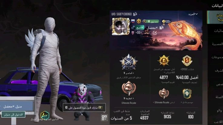 حسابات ببجي